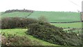 Ballydargan Hill from the Glen Road