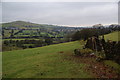 Hillside above Pendle Water