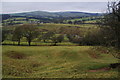 Hillside down to Pendle Water