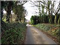 Descending Ash Road