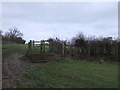 Kissing gate in Bunker