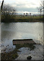 SE6329 : Fishing pond near Munby Belt by Alan Murray-Rust