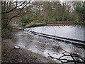 SP1195 : Overflow from Wyndley Pool by Michael Westley