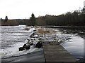 NH5043 : River Beauly flowing over the cruives by Craig Wallace