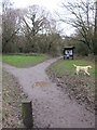 Path into Limpsfield Chart from car park on Moorhouse Road