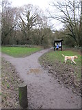 TQ4252 : Path into Limpsfield Chart from car park on Moorhouse Road by Richard Rogerson