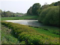 Pond at Long Meadowend