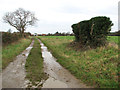 View north along Bentley Lane, Belstead