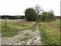 To Old Hall Wood on Bentley Lane, Belstead