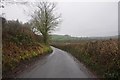 Mid Devon : Country Road