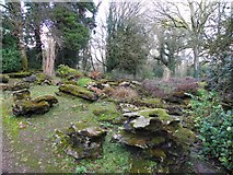 H1758 : Rock Garden, Castle Archdale by Kenneth  Allen