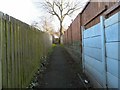 Footpath behind Waverley Road