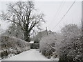 Lane in the snow