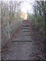 SP1558 : Footpath steps through the copse,  Wilmcote by Liz Stone