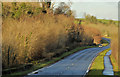 The Belfast Road near Saintfield (2)