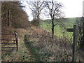 A bridleway at Sherburn Whins