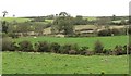 View eastwards across the valley floor towards the abandoned Downpatrick  and Ardglass Railway Line