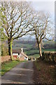 Road and cottage, Garway Hill