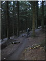 MTB trail in the forests above Trefydd Bychain