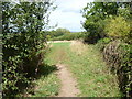 Bridleways cross [1]