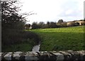 Looking up the stream from Blanksmill Bridge