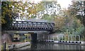 Railway bridge, Basingstoke Canal