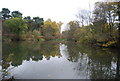 Reflections, Basingstoke Canal