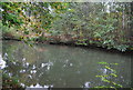 Basingstoke Canal