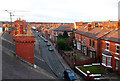 Evening Rooftops, Garden Lane