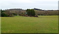 Public footpath across a field, Heneage Lane, Falfield