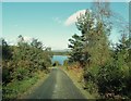 NX6470 : Raiders Road approaching Stroan Loch by Ann Cook