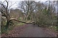 Tiverton : Old Railway Line