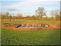 Pond at Floral Media Garden Centre