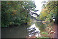 Basingstoke Canal