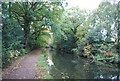 Basingstoke Canal