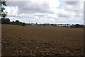 Large ploughed field, Henley Rd