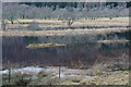 Loch an Eilean, Strathglass