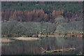 Loch an Eilean, Strathglass