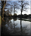 Flooded footpath by the River Severn