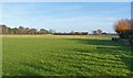 Field at Manor Road