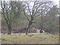 Willow Green Gill in flood spilling into the River Wear