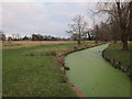 Channel in Bushy Park