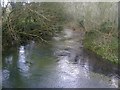 SU0194 : River Thames or Isis at Neigh Bridge by Martin Elliott