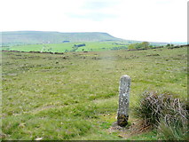 SO2738 : Boundary Stone and Hay Bluff by Jonathan Billinger