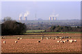 View West from The Chiltern Way