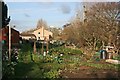 Wilton allotments