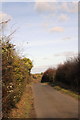 Old Icknield Way, looking north