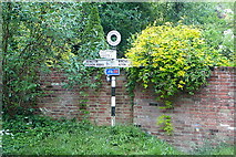 SU5331 : Signpost at Avington by Graham Horn