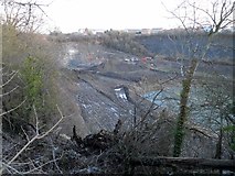 SP4975 : New Bilton-Parkfield Road Quarry by Ian Rob