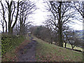 Ridge path on Kerridge Hill